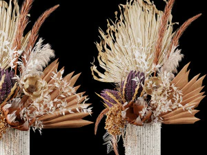 Dry-flowers s 3D Model