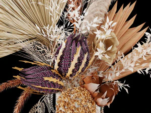 Dry-flowers s 3D Model