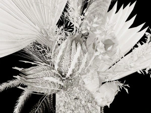 Dry-flowers s 3D Model