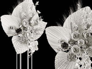 Dry-flowers s 3D Model