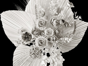 Dry-flowers s 3D Model
