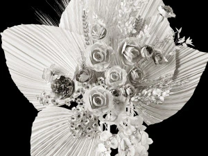 Dry-flowers s 3D Model