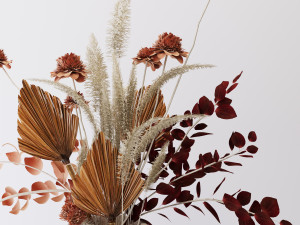 Dried flower s Modèle 3D
