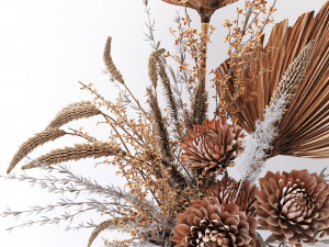 Dried flower s 3Dモデル