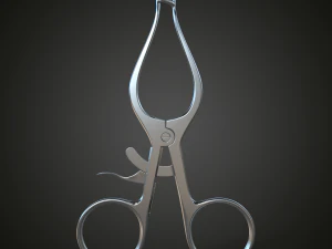 divaricatore weitlaner 3x4 denti Modello 3D