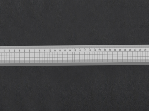 ruller scale 3D Модель
