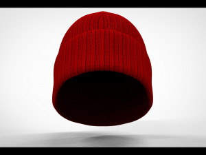 Woolan Cap 3D 모델