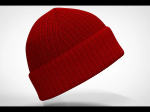 Woolan Cap 3D Model
