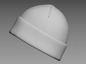 Woolan Cap 3D Model
