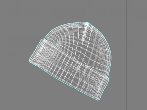 Woolan Cap 3D Model