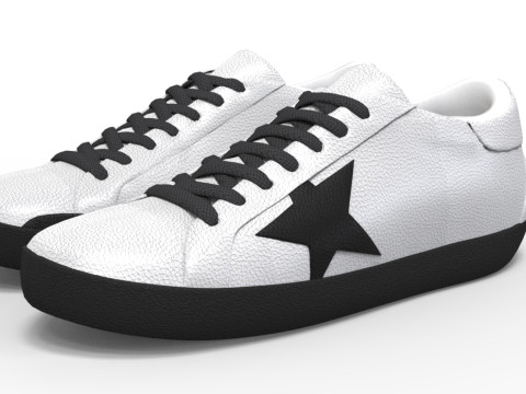 Star shoes 3D Modell