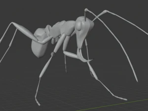 Haidomyrmex scimitarus Modèle 3D