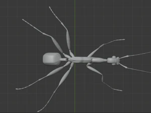Haidomyrmex scimitarus 3D Model