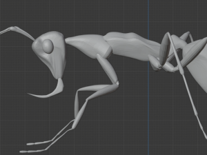 Haidomyrmex scimitarus 3D 模型