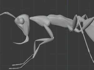 Haidomyrmex scimitarus 3D Model