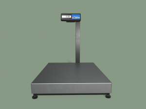 floor scales Modello 3D