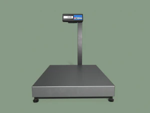floor scales 3D Model