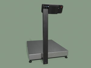 floor scales Modello 3D