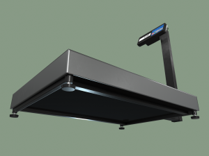 floor scales Modello 3D