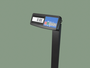 floor scales Modello 3D