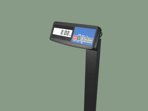 floor scales 3D Model