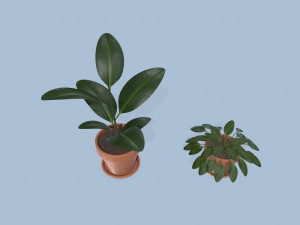 plants 3D Модель