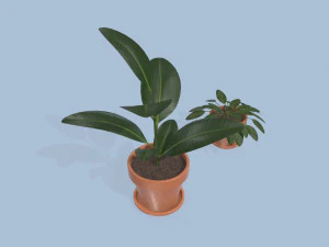 plants 3D Model