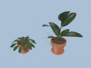 plants 3D Модель