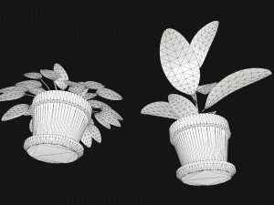 plants 3D Модель