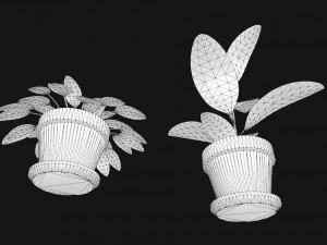 plants 3D Model