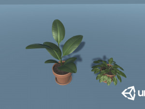 plants 3D Модель