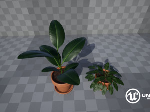 plants 3D Модель