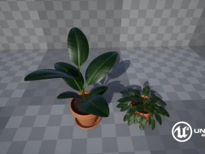 plants 3D Model