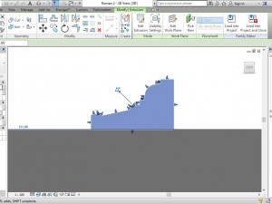 roman revit family pattern 3D Model
