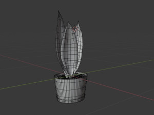 sansevieria 3D 模型