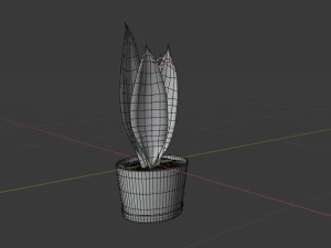 sansevieria 3D Model