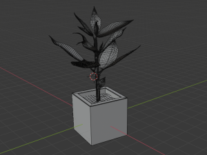 croton 3D 모델