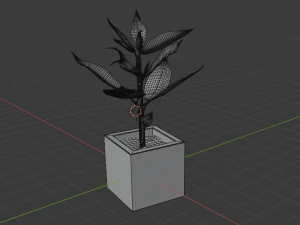croton 3D Model