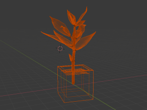 croton 3D 모델