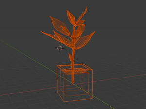 croton 3D Model