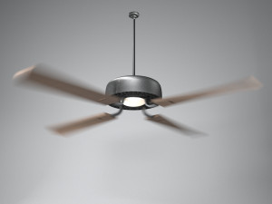 ceiling light fan Model 3D