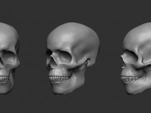 skull Modelo de Impressão 3D