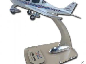 tecnam p2002 sierra 3D Model