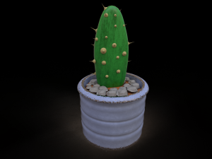 cactus Model 3D