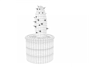 cactus 3D 모델