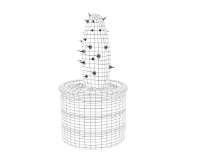 cactus 3D Model