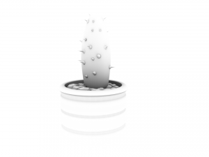 cactus 3D 모델