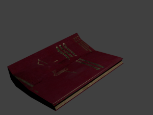 bok 3D 模型