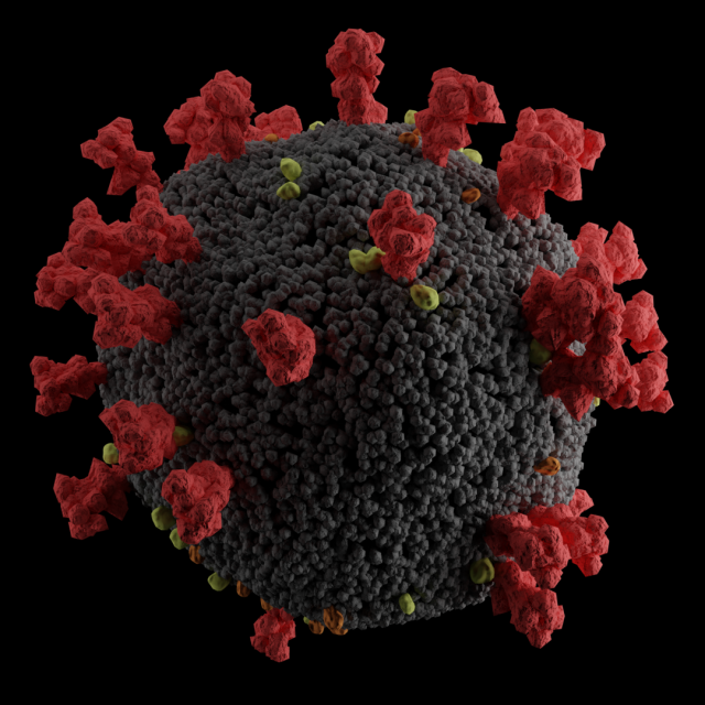 covid-2019 corona virus 3D Модель .c4d .max .obj .3ds .fbx .stl .blend 