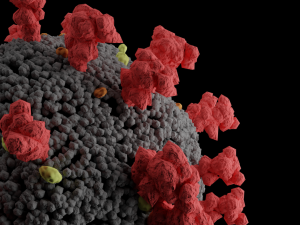 covid-2019 corona virus 3D Модель